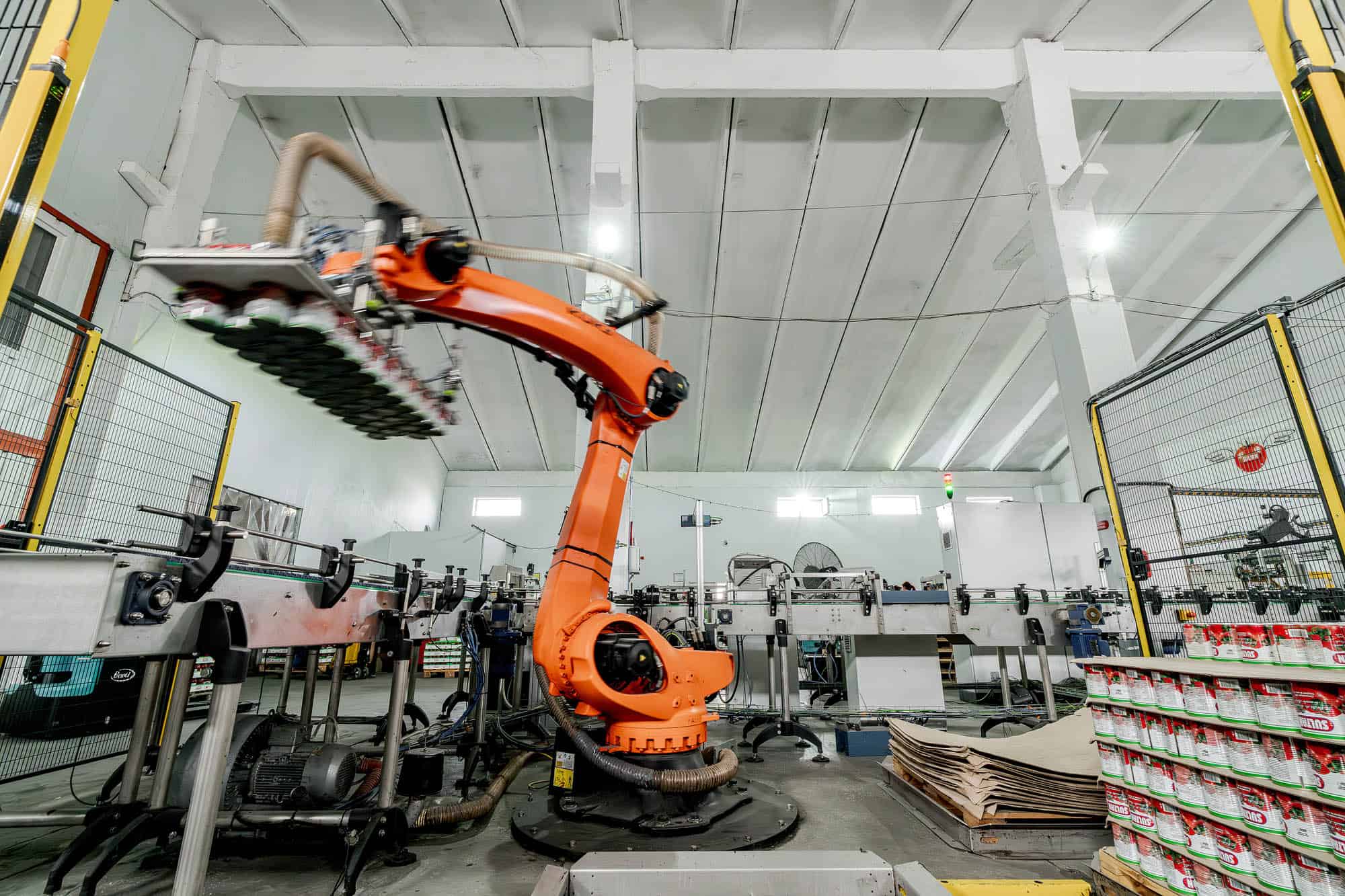 Automated packaging & palletizing lines, IESYS, industrial automation