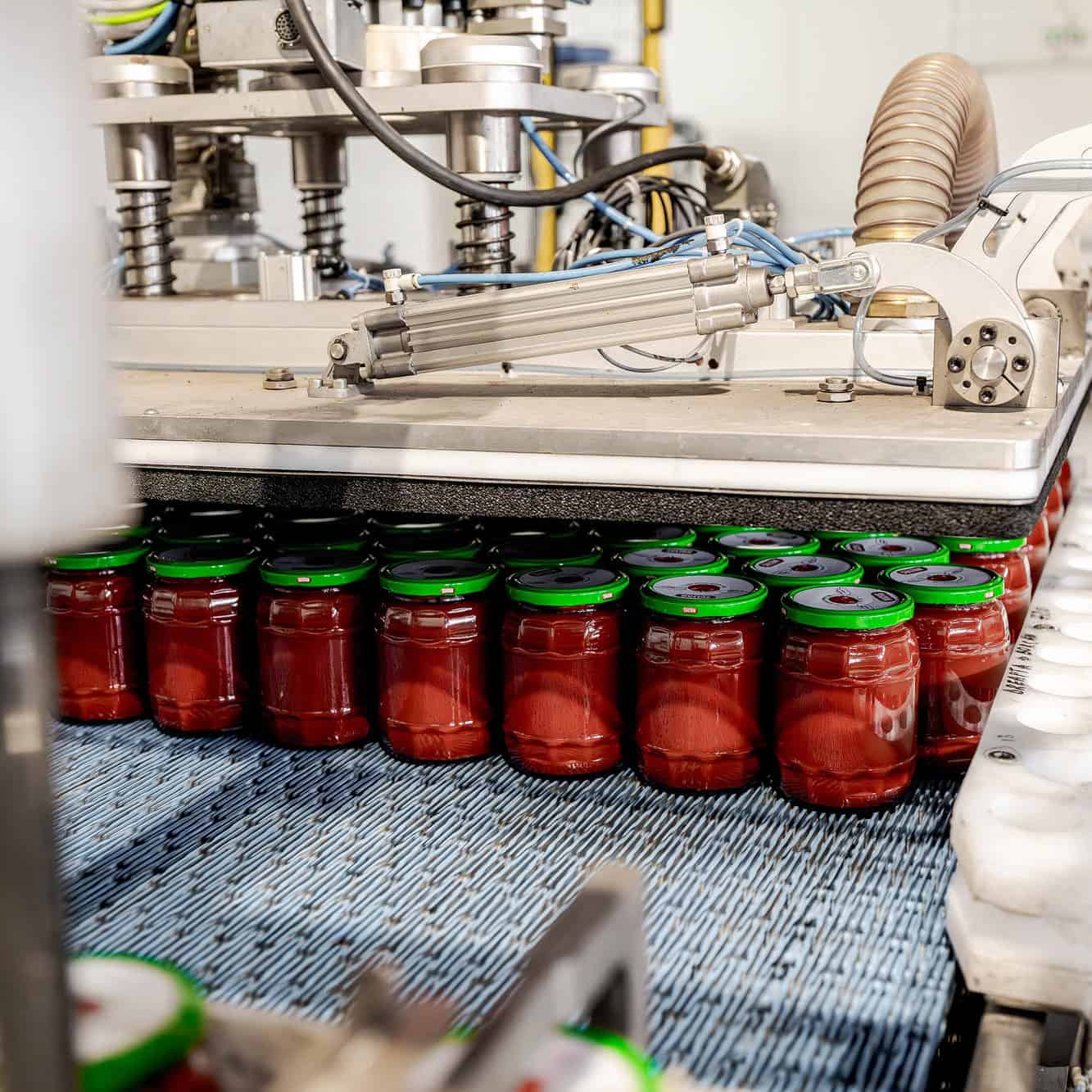 IESYS, food & beverage market