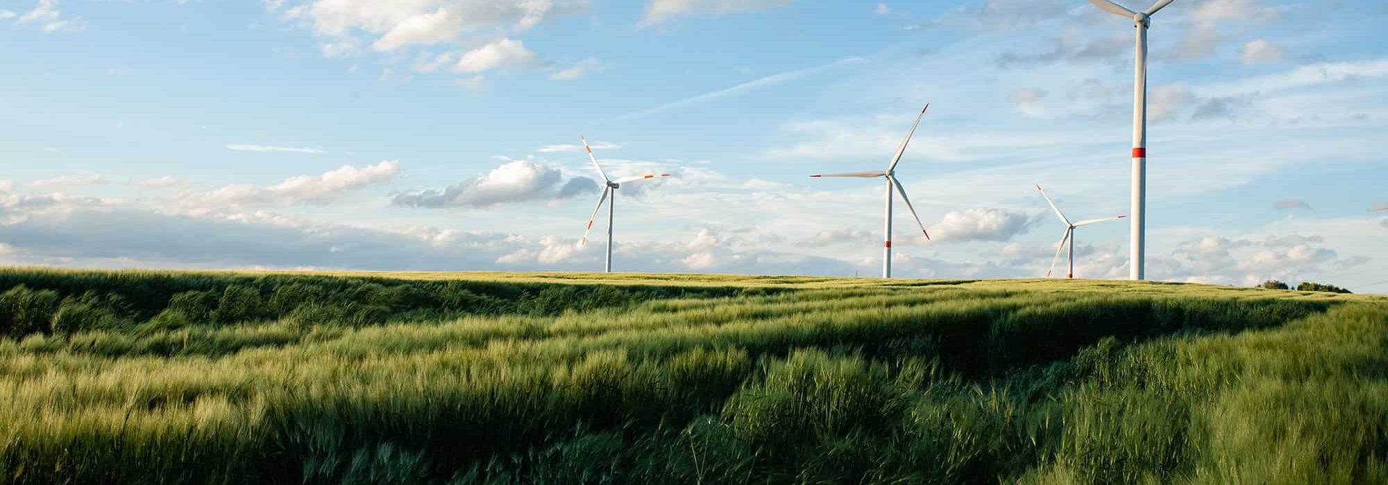 Sustainability, IESYS, WE Engineer